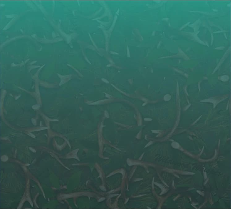 Sport & Field Collection background