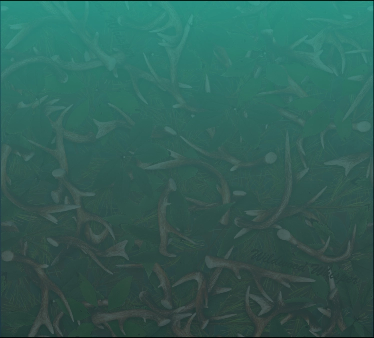Sport & Field Collection background